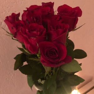 Meet your Posher, Kati